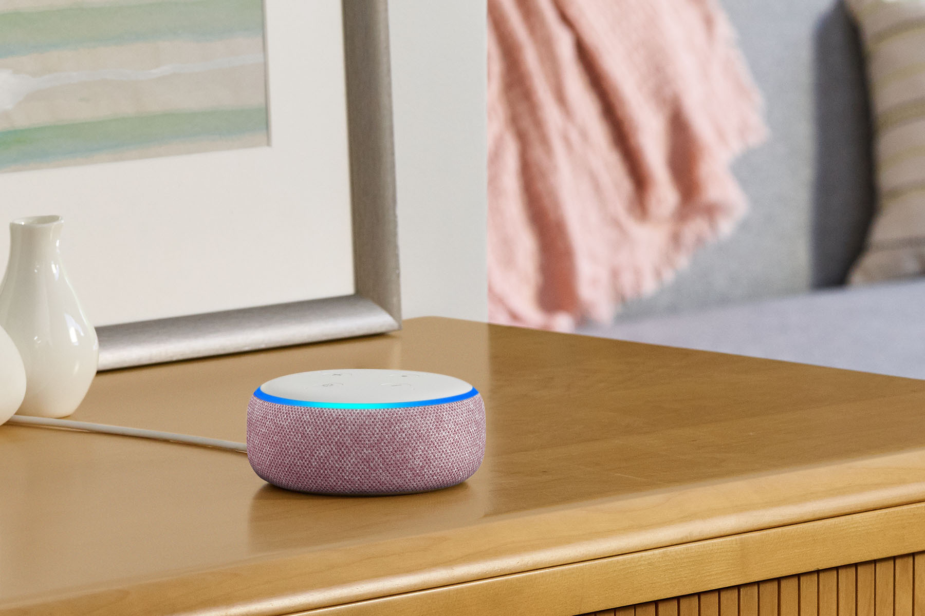 alexa echo dot plum